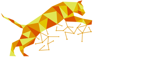 TIGER PAY